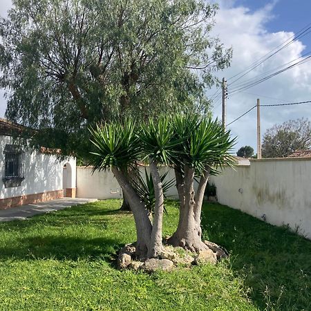 Chalet En Chiclana โนโบซังก์ติเปตรี ภายนอก รูปภาพ